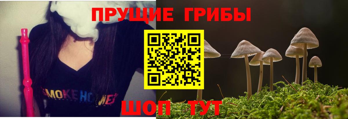 купить наркотик  Вход с VPN  Сафоново  Псилоцибиновые грибы ЛСД 